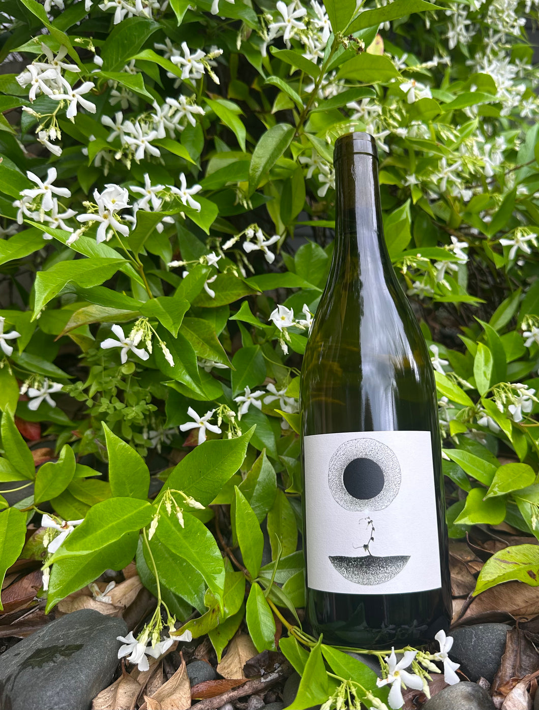 2024 Aard Chardonnay